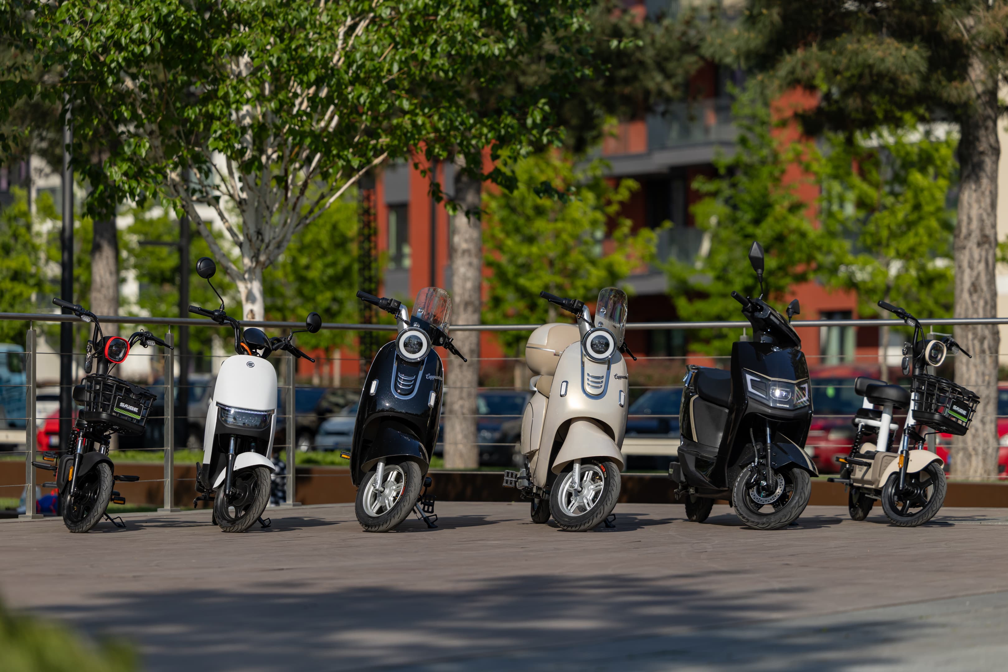 BeeBike online prodavnica — Shopify prodavnica i automatska sinhronizacija sa dobavljačem